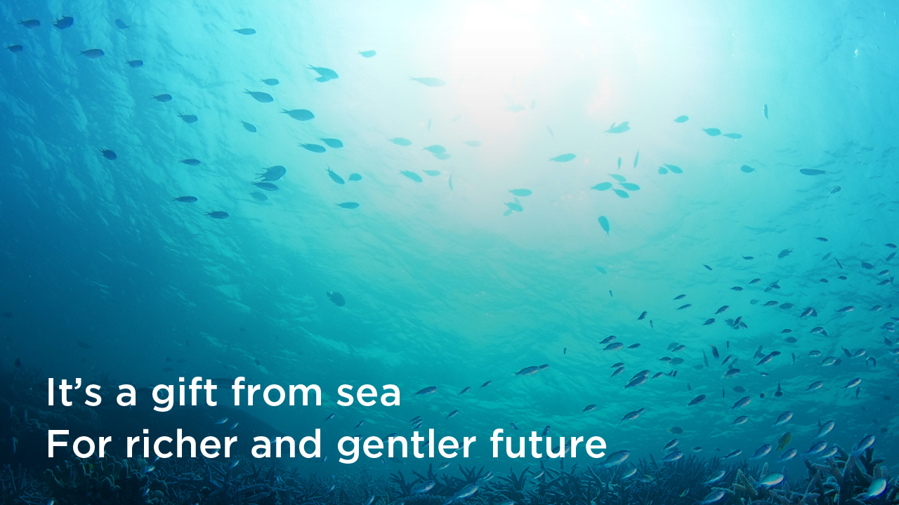 It's a gift from sea　For richer and gentler future